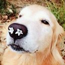 충남목장 이미지