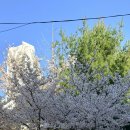 유나세탁소 이미지