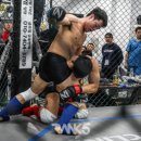 쿠사쿠라유도아카데미 이미지