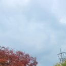 플라워디자인(야간) 이미지