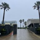 본비케이크 | 제주도 서귀포 오션뷰 카페 안덕 카페 휴일로 한라산케이크 먹어본 내돈내산 솔직후기