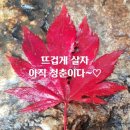 서귀포시노인복지관 이미지