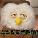 딩동댕 - 순천시 장평안길 28 | 딩동댕