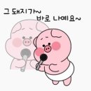 오보강 네이버블로그