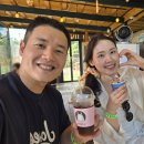 평화목장 | 제주 애월 가볼만한곳 제주도 데이트 추천 도치돌알파카목장 체험 후기