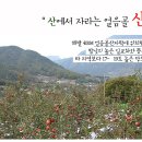 금풍농장 이미지