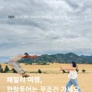 유산목장 | [나트랑 가족여행 3일차] 트리핑 판랑 사막 단독투어 | 양떼목장 | 포롱자라이 | 포시즌레스토랑