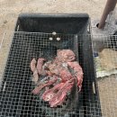 치산관광지 캠핑장 이미지