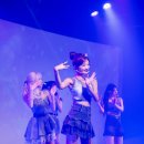 일랑이랑 bnt뉴스