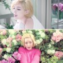 가인헤어 이미지
