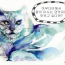 황금을 파는 자판기? 아부다비 최고의 호텔은 여기! 이미지