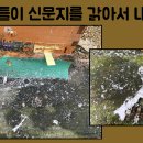 [신문지합봉법]을 오랜만에 해보았습니다. (로열젤리 원군의 여왕벌 교체) 이미지