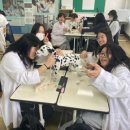 지역주민 웹툰 창작교실 | 전북, 전남 진로 직업 체험은 꿈드림혁신교육 - 신안 압해중학교 진로 직업체험
