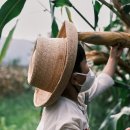 현암농장 이미지