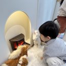 스튜디오플랜디