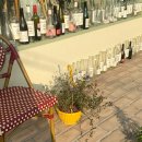 1박 2일 경주 여행 후기 (230513~230514)/ 경주 핫플트립 /황리단길 짐보관 추천