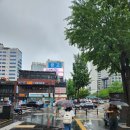 종로-신영-종로-영-378 | 명동 나들이(feat.한국은행,딤딤섬,갈릭보이)