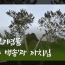 종로-현장-종로-세-203 이미지