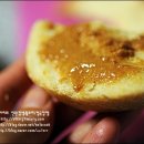 가야청국장 이미지