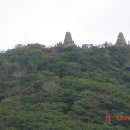 라본비 Daum카페
