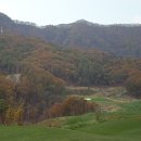 샤인벨리 이미지