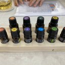 일랑일랑 헤어 이미지