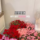 로즈포엠 이미지