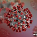 메디팜중앙약국 이미지