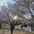 (주)용문여행 이미지
