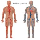 하나로약국 이미지