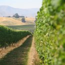 장일농장 이미지