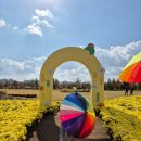 교향악단 제66회 특별기획연주회 | 국립세종수목원 카카오프렌즈 특별전시 : 식물의 감각