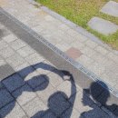 도인산업 | 6월 당일치기 전북 갈만한 곳, 임실치즈테마파크 체험 후기