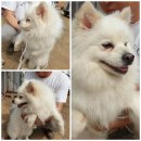 송산파출소 이미지