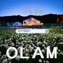 올람 이미지
