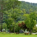 용인자연휴양림 이미지