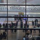 비자