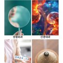 센텀파크요양병원 네이버블로그