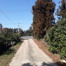 덕수교차로(평화로) 이미지