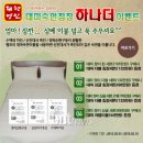 신진이불 한국경제
