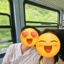 뮤렌 | [1️⃣2️⃣~1️⃣3️⃣ 스위스 여행] 융프라우 요흐에서 멘리헨 정상, 뮤렌 통나무 스팟 방문 후기, 여행 마무리