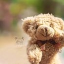 송암태권도 이미지