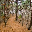 곡성-251 Daum카페