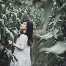 필밸런스의원 이미지