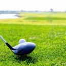 일레븐CC 이미지