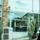 비비드마카롱 이미지