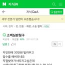 소액심판청구 및 절차 이미지