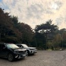 카페 더블유 | 당진 정미면 애견카페 더블유카페 솔직후기