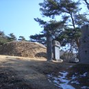 청원군 이간 묘역 | (영의정, 좌의정, 우의정, 이장전 묘역) 만사 심지원, 정경부인 안동권씨 -청송심씨, 경기도기념물 제...