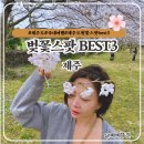 세븐일레븐 동양제일점 | 제주 벚꽃 스팟 best3 혼인지 신산공원 삼성혈 제주도여행